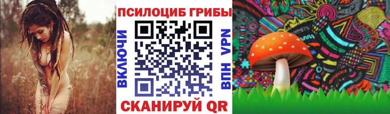 Псилоцибиновые грибы Cubensis даркнет сайт Волжск
