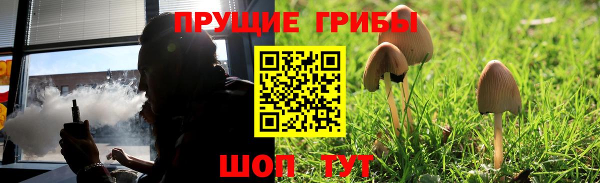 Галлюциногенные грибы MAGIC MUSHROOMS  Галлюциногенные грибы GOLDEN TEACHER  Волжск  как найти наркотики  Вход с VPN 