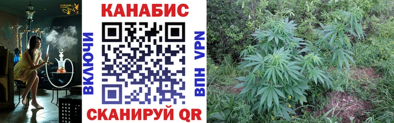 Бошки Шишки гибрид Волжск
